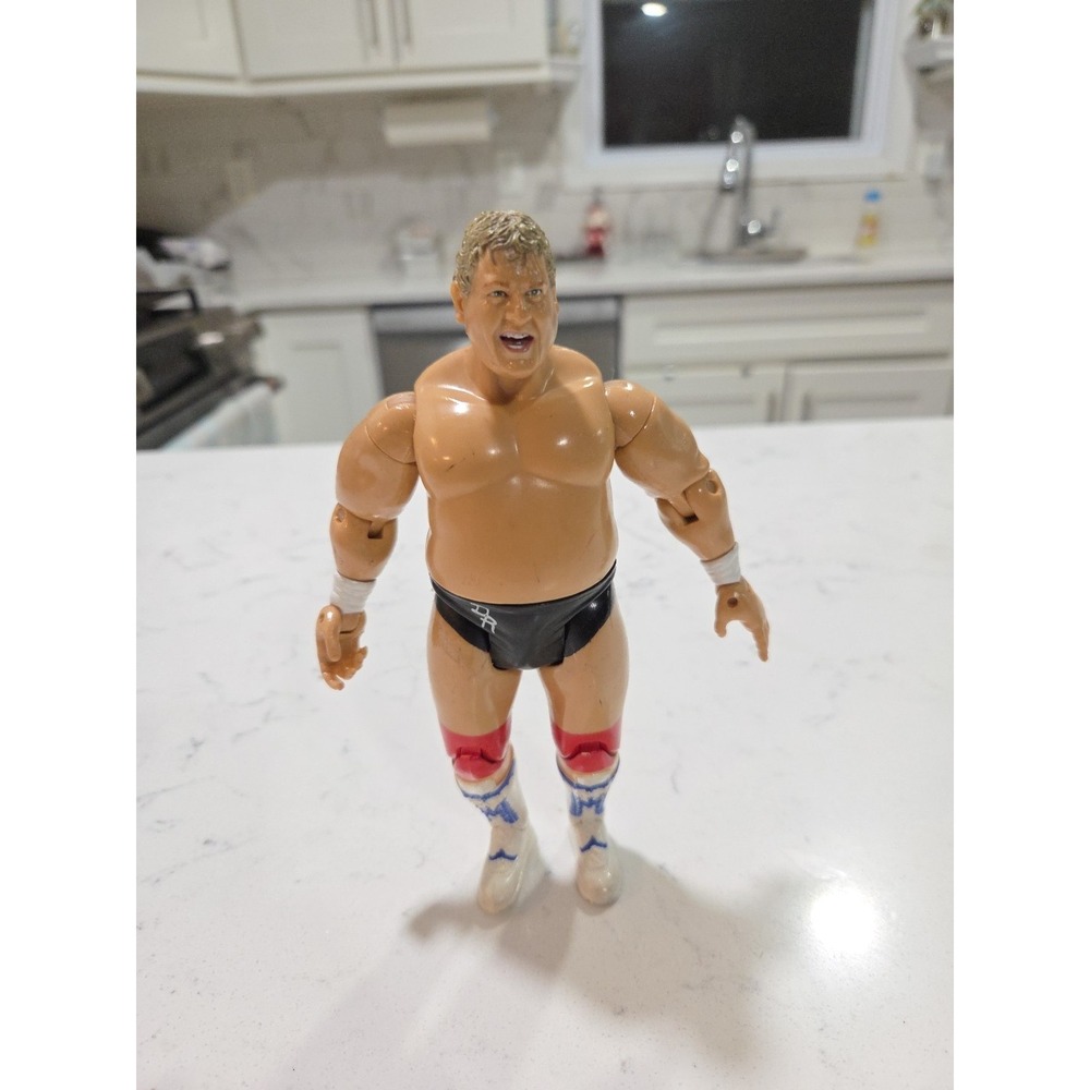 2006 WWE Dusty Rhodes Classic Superstars Figure Jakks Pacific WWF